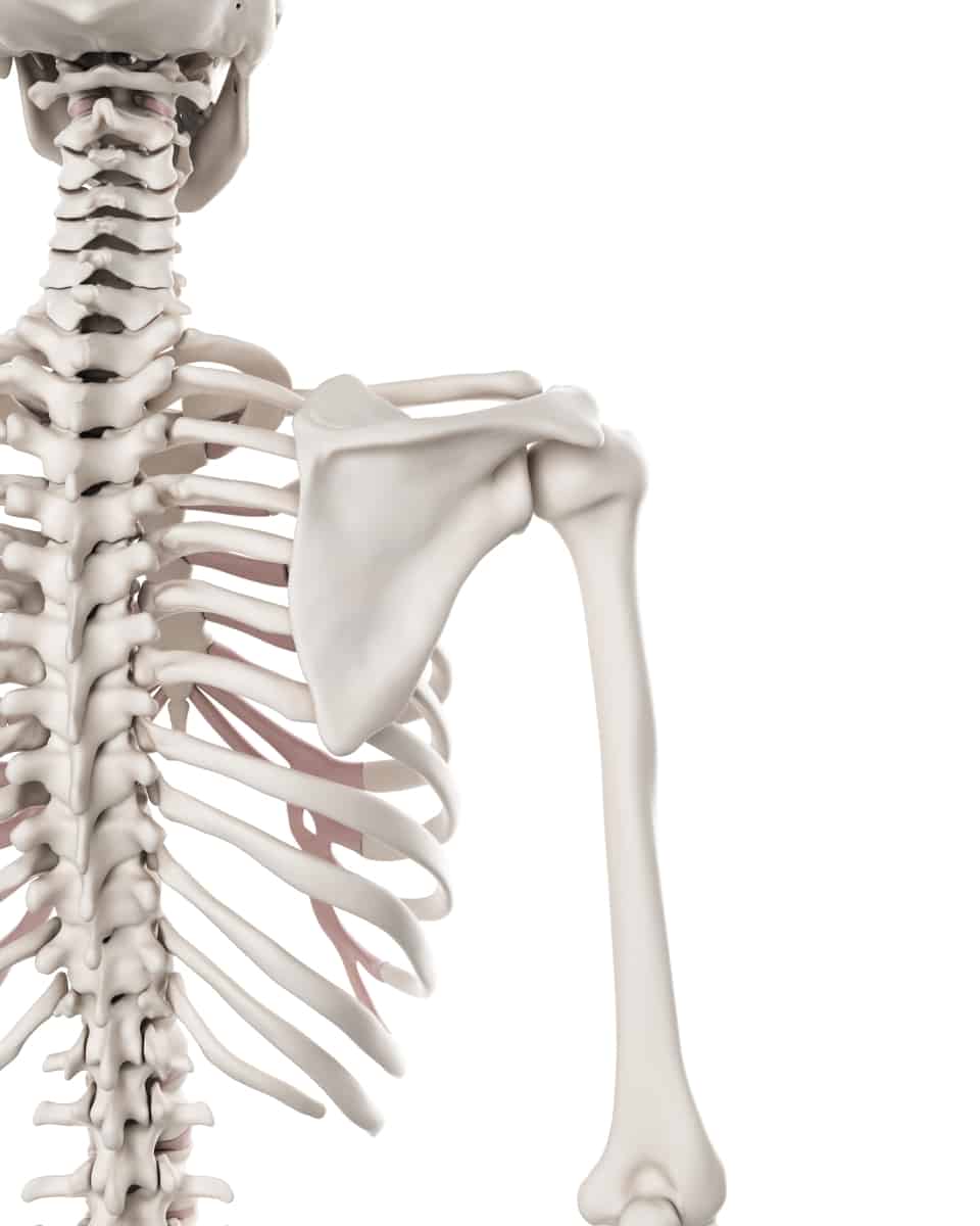 huesos sanos Archives - Qualipharm