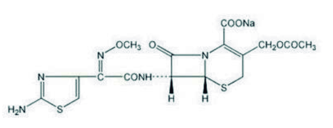 estructura levofloxacina